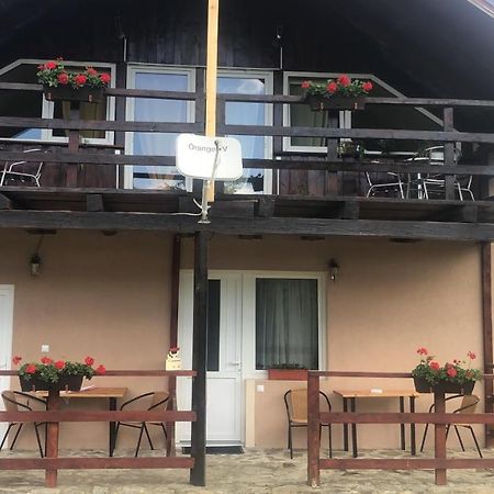 Casa Albert Valea Avrigului Eksteriør bilde